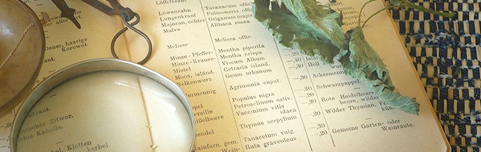Homeopathie in Prien